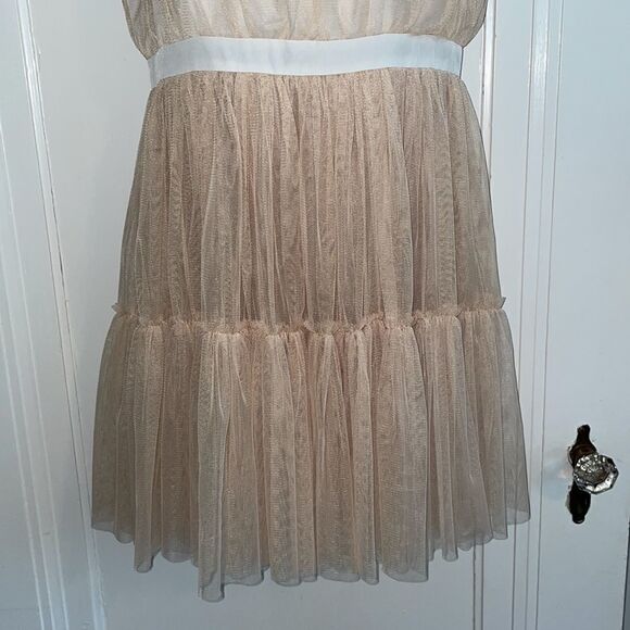NWOT Blush by Young Threads tan lace & netting dress - Picture 3 of 10
